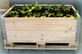 Stor plantekasse